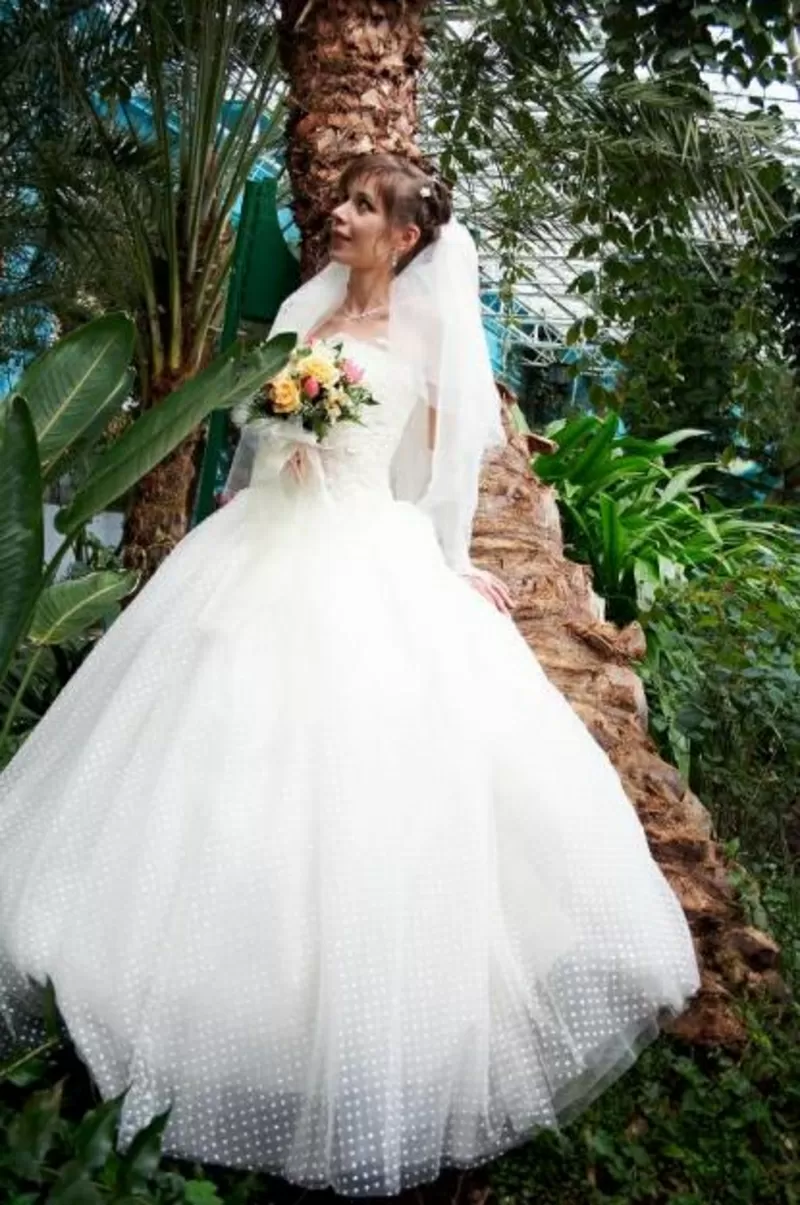   свадебное платье и шубка 